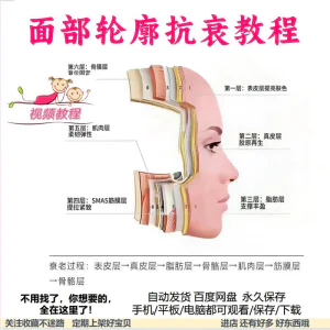 美商课程面部轮廓抗衰美肤减龄变美视频教程形象管理内在美好气色-俊享资料仓