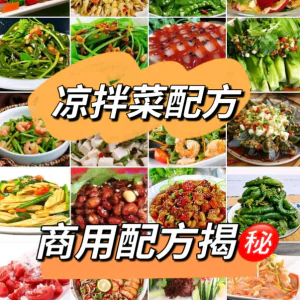 摆地摊街边特色自选拌凉菜小菜制作小吃技术配方教程培训视频教学-俊享资料仓