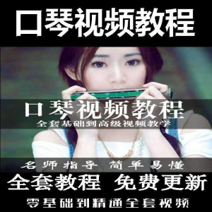 口琴自学教程视频零基础初学者入门到专业十孔24孔教学-俊享资料仓