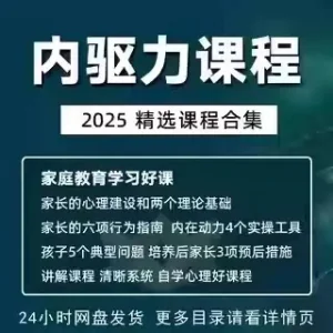 内驱力培训课程培养孩子自觉性提升内在亲子教育学习电子版资料-俊享资料仓