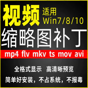 视频缩略图补丁mp4 flv ts mov mkv avi等预览软件工具显示插件-俊享资料仓