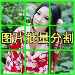 图片批量切割软件 图片批量分割工具 批量切图器 图片批量裁剪-俊享资料仓