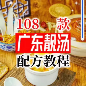 【拍下即送】108种广东靓汤视频教程100+广府靓汤商用技术实体店-俊享资料仓