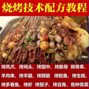 正宗全国烧烤技术配方全套视频教程配料技巧制作培训教学资料大全-俊享资料仓