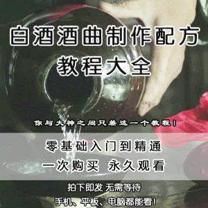 白酒酒曲制作配方教程酿酒技术秘方勾兑视频教学课程零基础学习-俊享资料仓