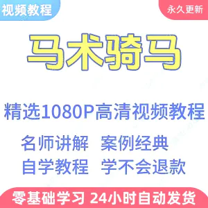 马术骑马视频学习教程新手小白自学零基础入门精通教学课程全集-俊享资料仓