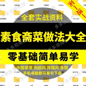 素食菜谱做法技术视频教程斋菜文化大全家庭营养健康美食制作教学-俊享资料仓