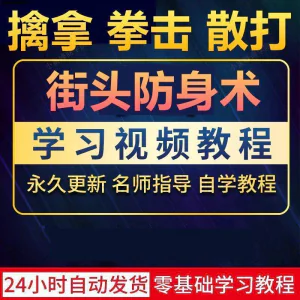 街头防身术擒拿拳击散打视频教程全套入门自学零基础学习教程视频-俊享资料仓