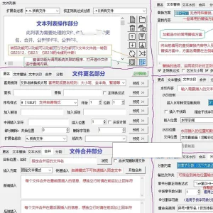 txt文本文件批量处理工具文档更名替换水印合并分割工具-俊享资料仓