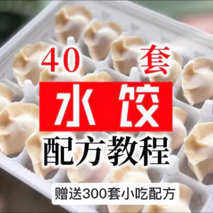 【0.01秒发】40套水饺技术配方 特制技术视频教程-俊享资料仓