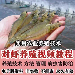 对虾养殖技术视频教学教程水质管理日常养护疾病防治南美白素材-俊享资料仓