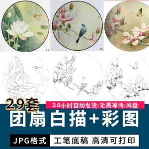 工笔花鸟白描国画团扇线描底稿彩图临摹参考电子版高清图片素材库-俊享资料仓