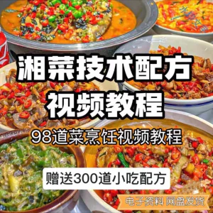 【0.01秒发】98道湘菜技术配方视频教程商用湖南菜炒菜特色小吃-俊享资料仓