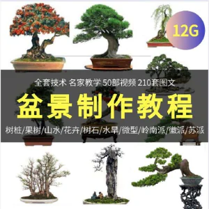 盆景制作技术视频教程工艺教学果树桩山水微型造型全套-俊享资料仓