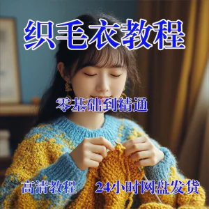 手工织毛衣视频零基础传统棒针钩针毛线编织婴儿童全套-俊享资料仓
