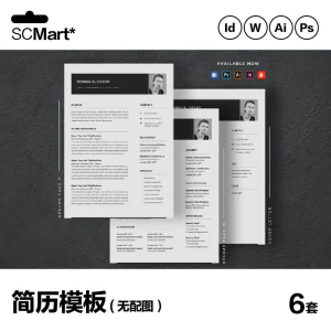 6套高级英文简历Word简历 ai psd设计师简历模板毕业生简历CV29-俊享资料仓