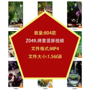 茶艺喝茶品茶竖屏泡茶文化意境禅意自媒体剪辑高清抖音短视频素材-俊享资料仓