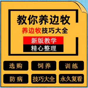 边牧训练方法教程边境牧羊犬驯养技术饲养喂养选购训犬技巧大全套-俊享资料仓