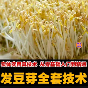 自学发豆芽技术资料豆芽加工制作方法教学 培育豆芽商用视频教程-俊享资料仓