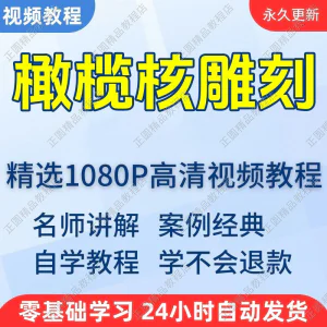橄榄核雕刻视频学习教程新手自学零基础入门精通教学课程全集-俊享资料仓