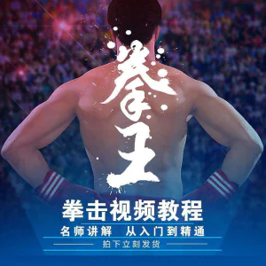 拳击教学视频 自学教程 训练零基础运动入门健身搏击格斗武术课程-俊享资料仓