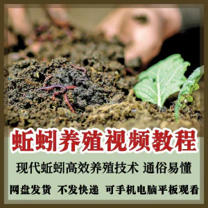 蚯蚓养殖技术视频教程素材零基础农业创业大棚如何养蚯蚓高效素材-俊享资料仓