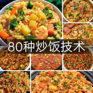 炒饭技术配方教程大全蛋炒饭的做法教学速食铁板烧摆地摊扬州商用-俊享资料仓