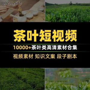 茶叶茶业茶具茶道茶艺茶文化知识文案茶园采茶泡茶高清短视频素材-俊享资料仓