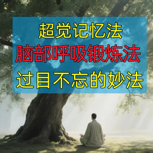 过目不忘修炼记忆力脑部呼吸锻炼法改造大脑健身气功养生训练方法-俊享资料仓