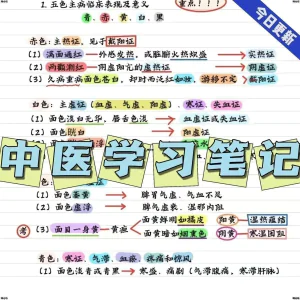 彩色中医手写笔记中医学理论中医学笔记资料参考中医考研学霸笔记-俊享资料仓