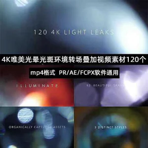 120组高清唯美Pr光晕炫光光斑电影MV婚礼光效转场MP4特效视频素材-俊享资料仓