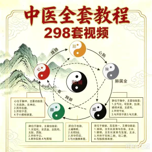 自学中医基础理论视频课教材全套学习资料素材电子版全套教学讲解-俊享资料仓